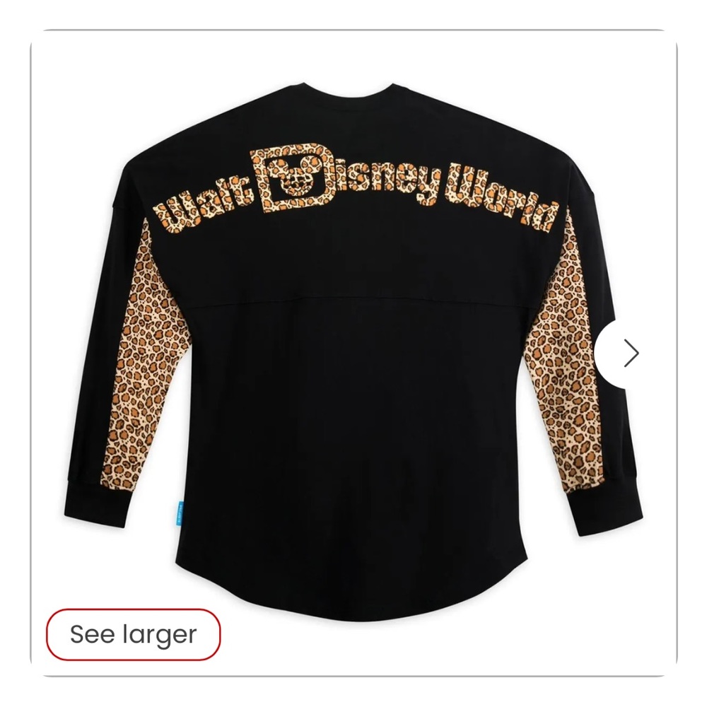 wdw spirit jersey